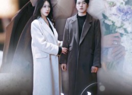 【雪落时你向南飞】34集免费短剧全集速看