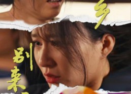 【故乡别来无恙】55集在线赏看短剧全集