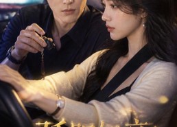 【骄阳知意】37集短剧免费在线观看无删减