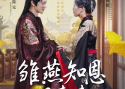 【雏燕知恩报春来】36集高清短剧免费畅看