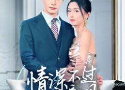 【情深不过初见】70集短剧免费全集在线速览