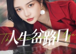 【人生岔路口】30集在线短剧免费全集看
