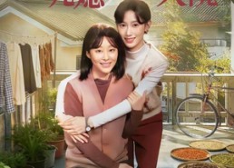 【婆婆连夜进京，领儿媳征服大院】78集短剧全集免费在线观