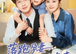 【落跑孕妻厉先生上门求负责】66集短剧在线免费畅看