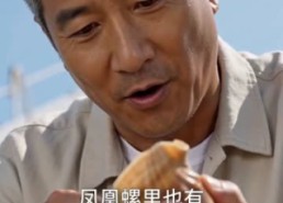 【透视海洋：整个大海都是我的渔场第二季】73集短剧全集免费畅看