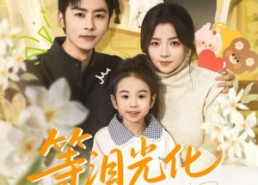 【等泪光化成彩虹】56集短剧在线免费全集赏