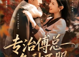 【专治傅总各种不服】80集短剧免费全集观影处