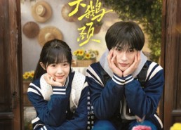 【败犬与天鹅颈】71集短剧免费全集随心观看
