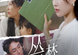 【丛林法则】29集在线短剧完整版观看