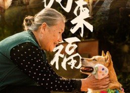 【小狗来福】30集在线免费看短剧完整全集