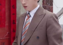 【功成名就后，我回乡光耀师门】32集免费短剧在线随心看