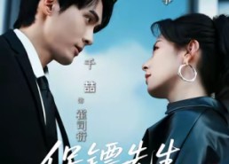 【保镖先生，结个婚】67集短剧在线高清免费观