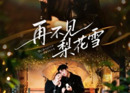 【再不见梨花雪】70集免费短剧在线赏看