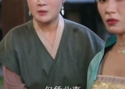 【如意芳华】78集短剧免费在线全览看