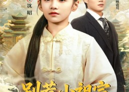 【别惹小祖宗，她只会打脸】64集免费短剧在线全集瞧