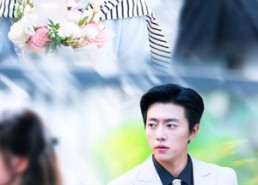 【掠星】80集短剧免费在线全集速览