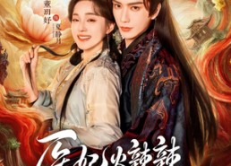 【医妃火辣辣】82集精彩短剧在线免费观看