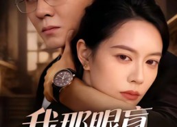 【我那眼盲心瞎的前夫】61集短剧免费全集畅看