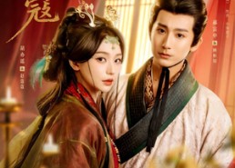 【蔻蔻】68集短剧全网免费在线赏