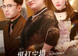 【提灯定损房东阿姨她追悔莫及】50集全集短剧免费畅享观看