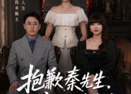 【抱歉秦先生，孩子不是你的】53集短剧在线免费观览