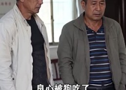 【全村求我回头，我反手捐车给山区】45集短剧免费高清观看