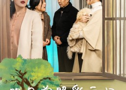 【明月曾照彩云归】51集短剧在线免费赏览