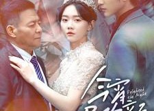 【今宵尽欢颜】99集短剧免费在线畅享观看