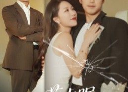 【萤火眠于旧海潮】63集短剧免费高清在线看