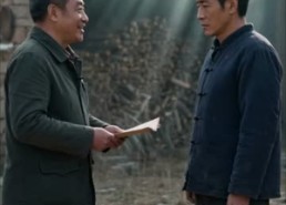 【往后各自安好】66集短剧全集在线播放