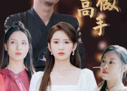 【都说了不想做高手】69集短剧全集免费看