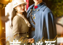 【萤火燎原】50集免费在线短剧全集阅