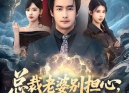 【总裁老婆别担心，我医武双绝】80集高清短剧在线免费畅看