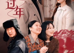 【婆家过年】在线免费看71集短剧全集