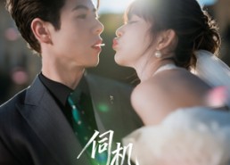 【伺机宠婚】80集短剧免费在线全集观享