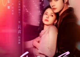 【爱情面包屑】80集短剧免费在线观看全集