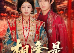 【相逢是陌路】50集短剧免费高清在线观看