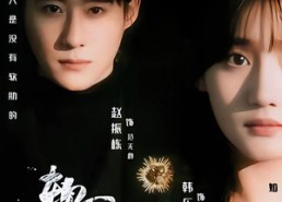 【软肋】62集热门短剧在线免费全集观