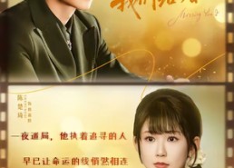 【凌先生，我们结婚吧】68集短剧在线免费观览