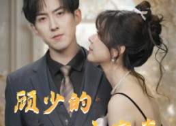 【顾少的小宠妻】90集短剧免费全集赏览