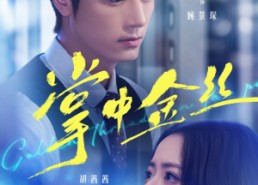 【掌中金丝】60集免费短剧在线完整观看