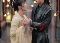 【后宅生存手册】100集短剧全集免费观探