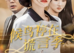 【候鸟停在谎言季】45集短剧在线免费追看