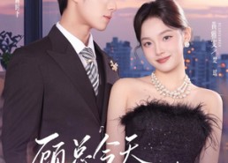 【顾总今天也在求入赘】80集短剧免费全集在线畅享