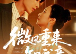 【微风重来知我意】62集短剧免费在线尽情观