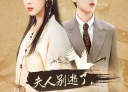 【夫人别逃了贺少真的是来报恩的】63集短剧全集免费高清观看