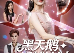 【黑天鹅诱捕计划】81集高清短剧在线免费观看