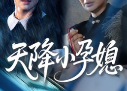 【天降小孕媳】37集短剧全集免费随心看