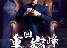 【重回巅峰】86集免费短剧在线完整赏