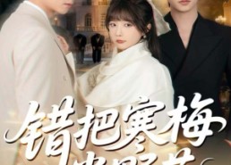 【错把寒梅当野花】60集精彩短剧免费赏看